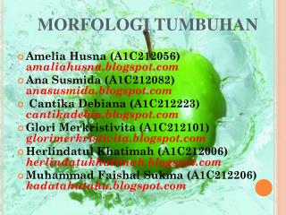 MORFOLOGI TUMBUHAN