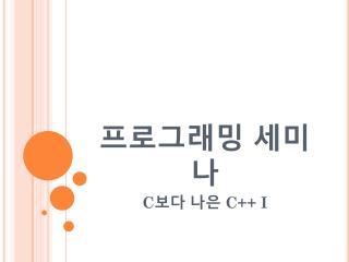 프로그래밍 세미나