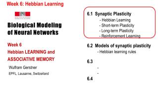 Biological Modeling of Neural Networks