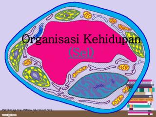 Organisasi Kehidupan (Sel)