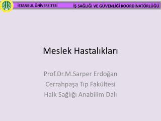 Meslek Hastalıkları