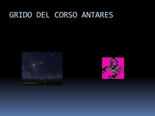 GRIDO DEL CORSO ANTARES