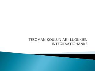 TESOMAN KOULUN AE- LUOKKIEN INTEGRAATIOHANKE