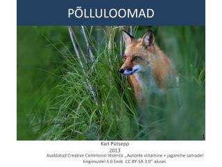 PÕLLULOOMAD