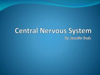 Central Nervous System