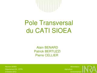 Pole Transversal du CATI SIOEA