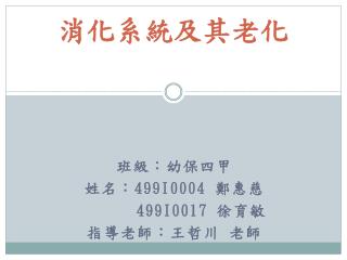 消化系統及其老化