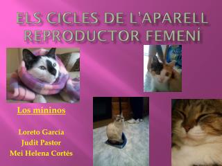 Els cicles de l’aparell reproductor femení