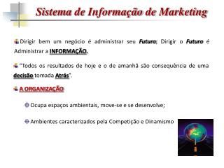 Sistema de Informação de Marketing