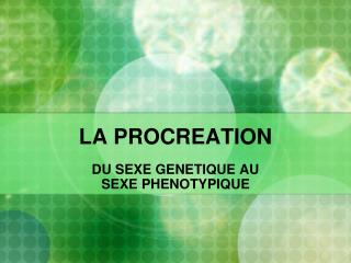 LA PROCREATION