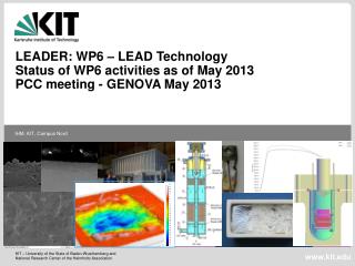 LEADER: WP6 – LEAD Technology Status of WP6 activities as of May 2013