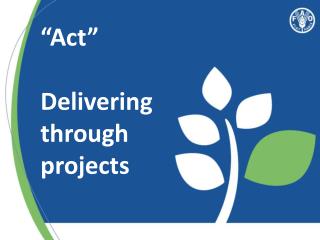 “Act” Delivering through projects