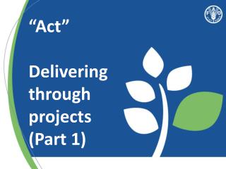 “Act” Delivering through projects (Part 1)