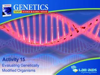 Activity 15