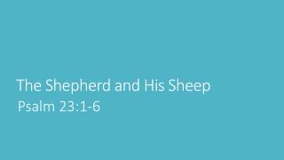 The Shepherd and His Sheep