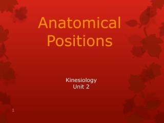 Kinesiology Unit 2