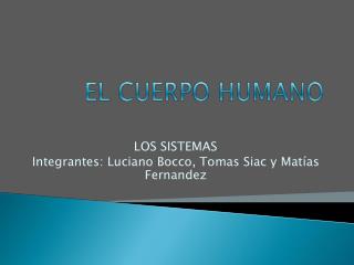 EL CUERPO HUMANO