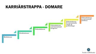 KARRIÄRSTRAPPA - DOMARE