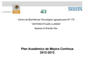 Plan Académico de Mejora Continua 2012-2013