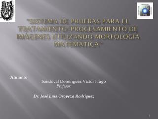 Alumno : 		Sandoval Domínguez Víctor Hugo Profesor: Dr. José Luis Oropeza Rodríguez