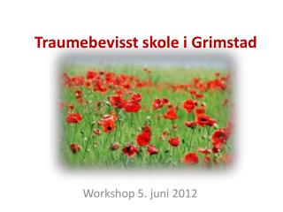 Traumebevisst skole i G rimstad