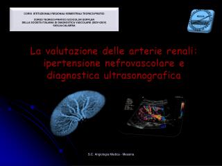 La valutazione delle arterie renali: ipertensione nefrovascolare e diagnostica ultrasonografica