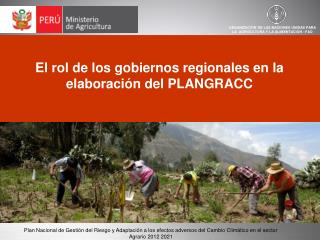 El rol de los gobiernos regionales en la elaboración del PLANGRACC