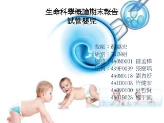 生命 科學概論期末報告 試管嬰兒