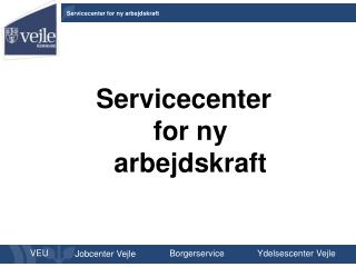 Servicecenter for ny arbejdskraft