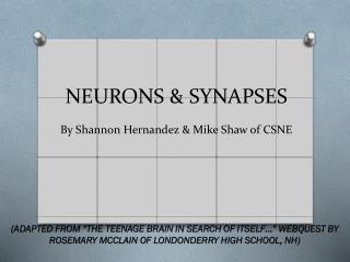 NEURONS &amp; SYNAPSES By Shannon Hernandez &amp; Mike Shaw of CSNE
