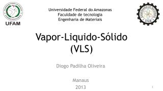 Vapor-Liquido -S ólido (VLS)