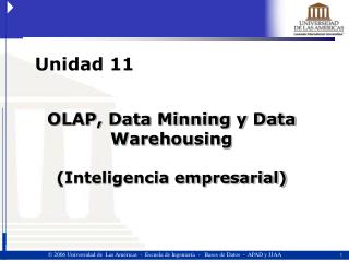 OLAP, Data Minning y Data Warehousing (Inteligencia empresarial)