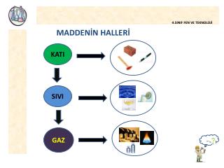 MADDENİN HALLERİ