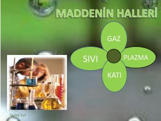 MADDENİN HALLERİ