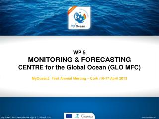 MyOcean2 First Annual Meeting – 17-18 April 2013