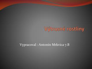 Výtrusné rostliny