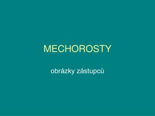 MECHOROSTY