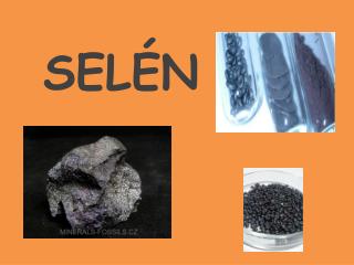 SELÉN