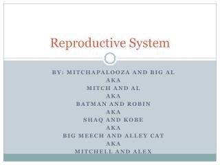 Reproductive System