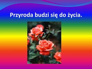 Przyroda budzi się do życia.