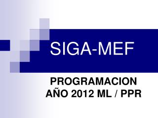 SIGA-MEF