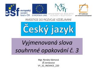 Český jazyk