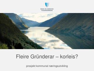 Fleire Gründerar – korleis?