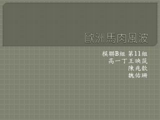歐洲馬肉風波