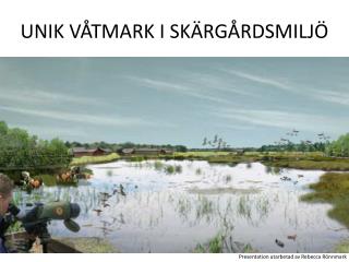 UNIK VÅTMARK I SKÄRGÅRDSMILJÖ