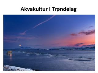 Akvakultur i Trøndelag