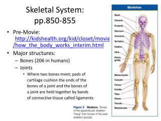 Skeletal System: pp.850-855