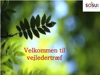 Velkommen til vejledertræf
