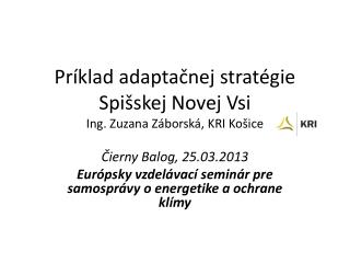 Príklad adaptačnej stratégie Spišskej Novej Vsi Ing. Zuzana Záborská , KRI Košice