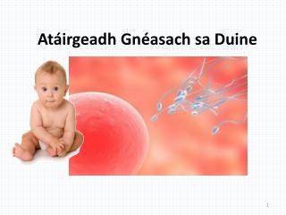 Atáirgeadh Gnéasach sa Duine